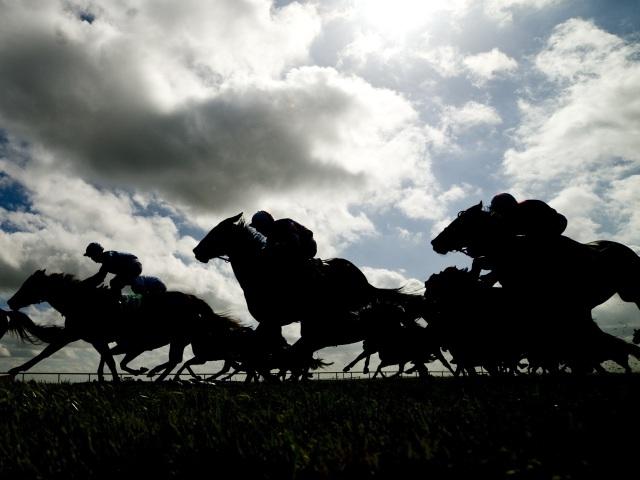 Timeform have found three selections from Cork on Sunday